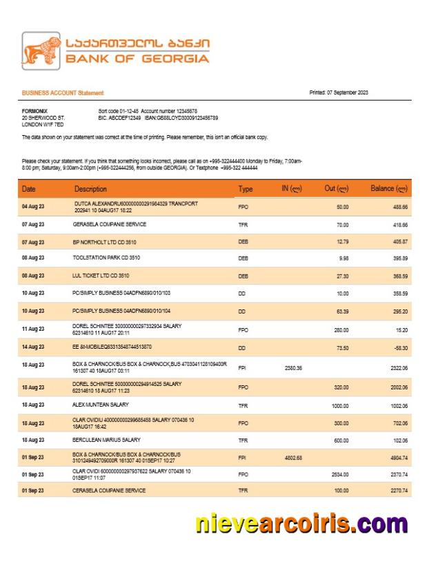 Bank of Georgia business checking account statement Word and PDF templat